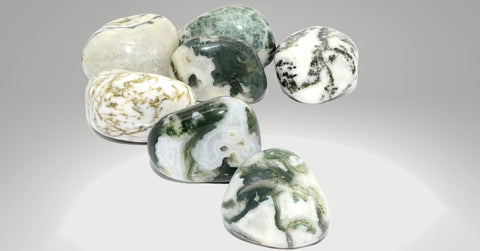 Tree Agate stones