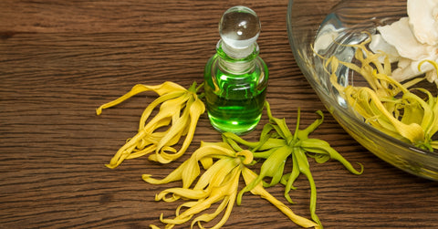 Ylang ylang essential oil