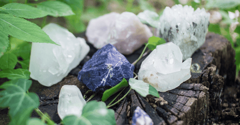 crystals in the forest