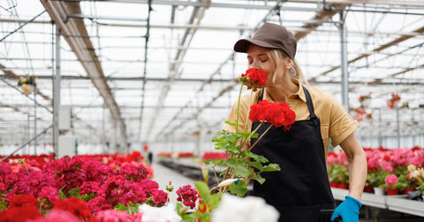 woman smelling flowers