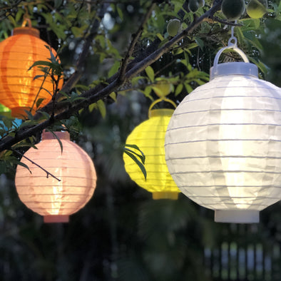 Australia's Largest Supplier of Lanterns for all occasions