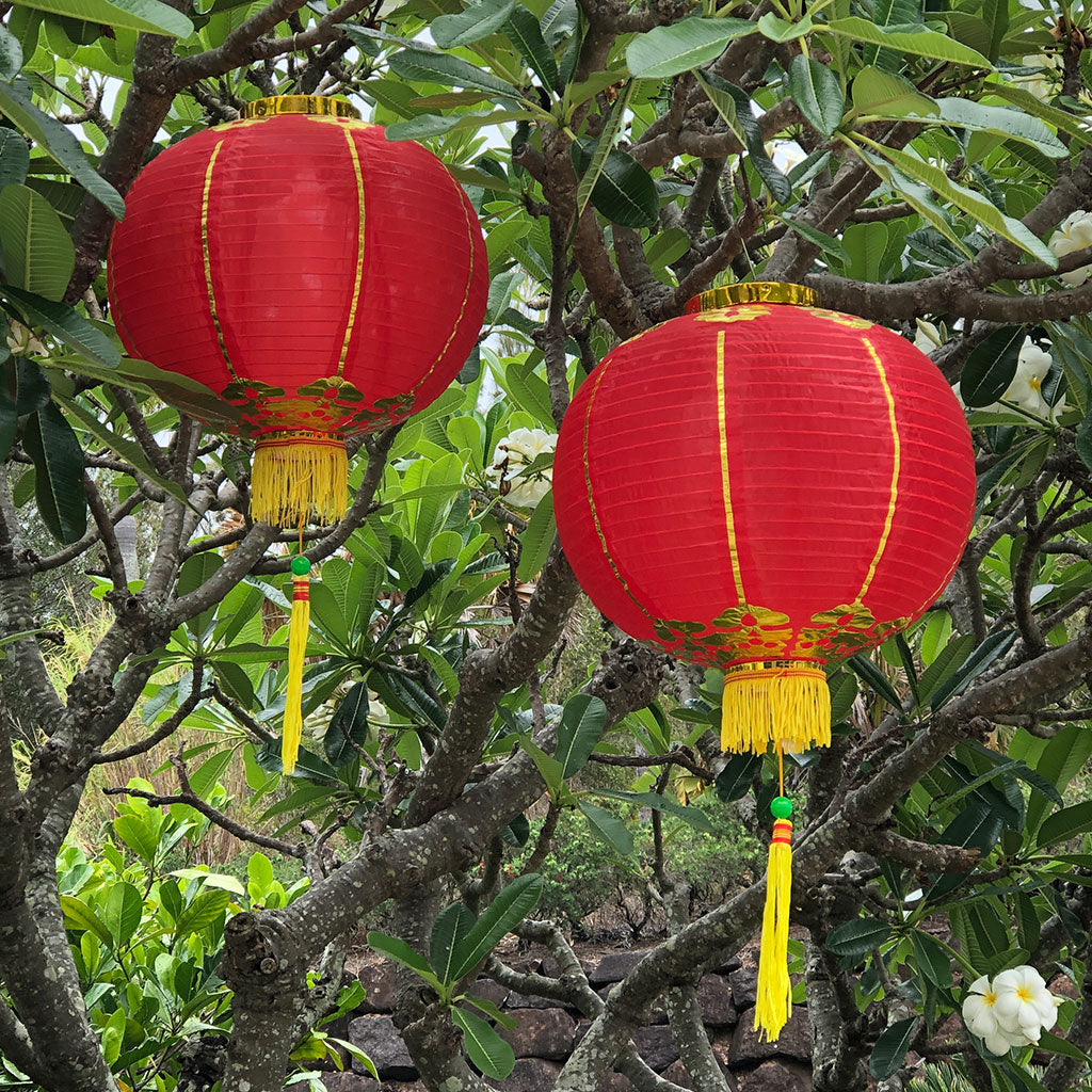 china lantern