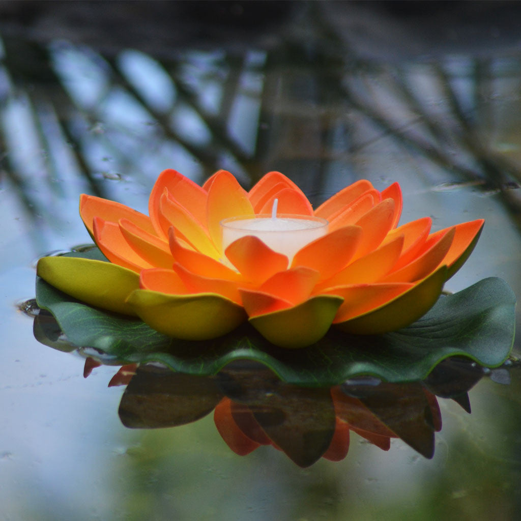 Floating Lotus Flower candle | Floating Lanterns | Lanternshop.com.au