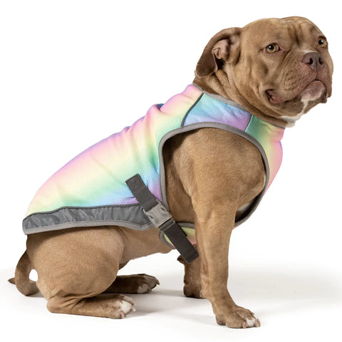 CANADA POOCH CHILL SEEKER RAINBOW COOLING DOG VEST