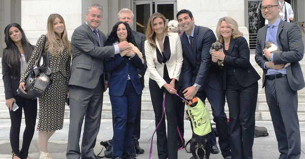 ab-485-pet-rescue-and-adoption-act