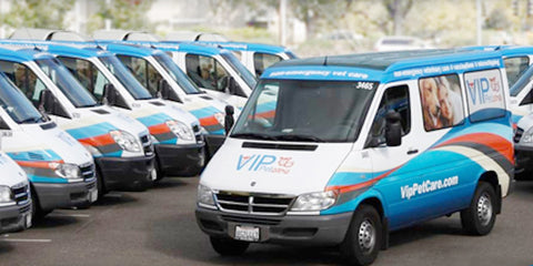 vip petcare mobile clinic