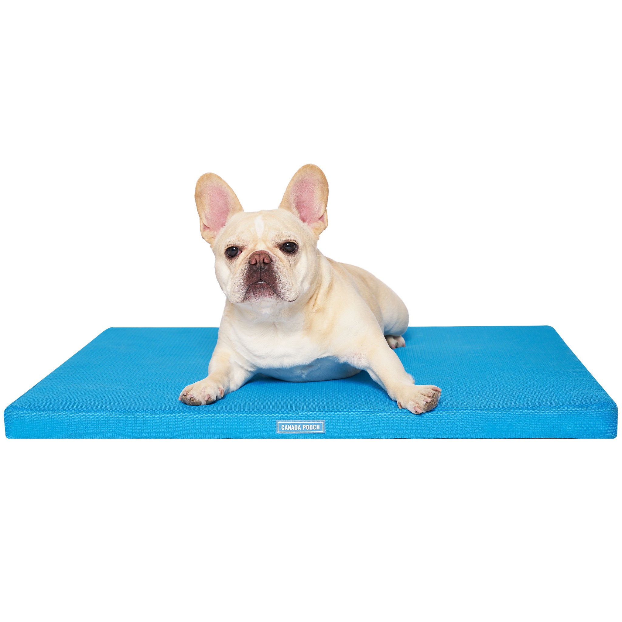 https://cdn.shopify.com/s/files/1/0995/5684/products/Canada_Pooch_Chill_Out_Blue_Cooling_Mat_Small_Dog.jpg?v=1652390526