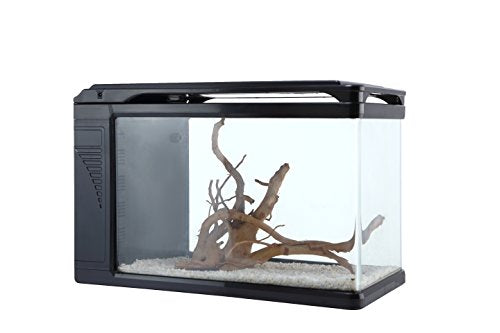 Camry Q3 400 Curved Corner Glass Aquarium 6 Gallon Aquarium Tank