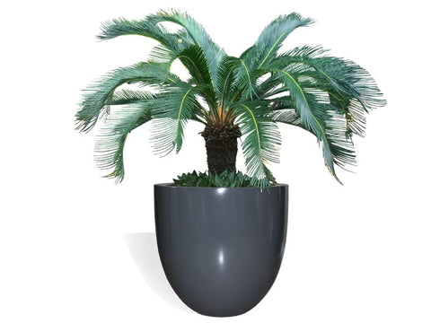 Alzira Round Fiberglass Planter Gardenmybalcony Com