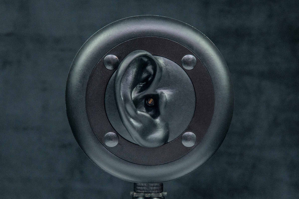 3dio free space pro ii binaural microphone