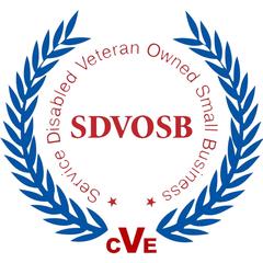 Service Disabled Veteran Owned Small Business