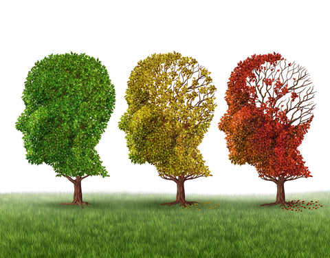 The Facts About Alzheimer's Disease