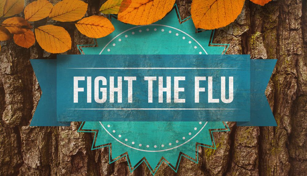 Get the Flu Shot Influenza Vaccination This Fall