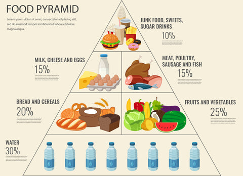 foodpyramid手抄报图片