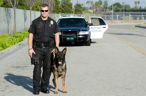 are police dogs treated as officers