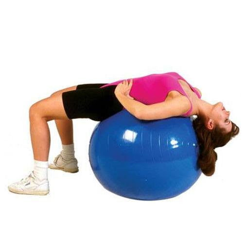 buy exercise ball online