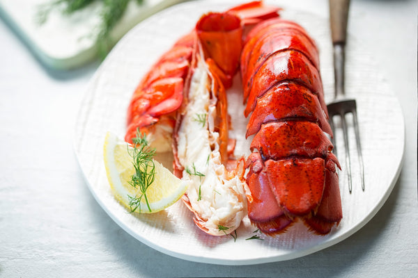 Lobster Shells May Help Replace Plastic