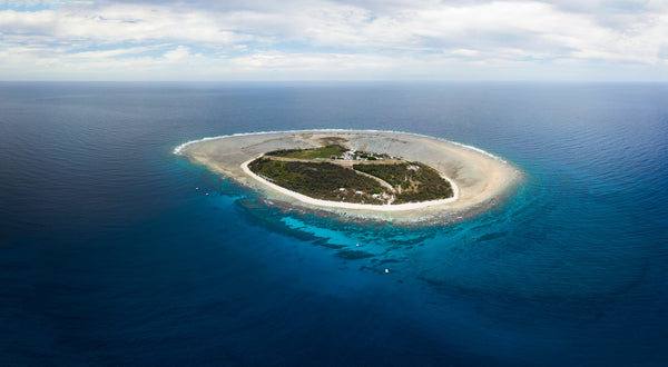 Lady Elliot Island - Great Barrier Reef