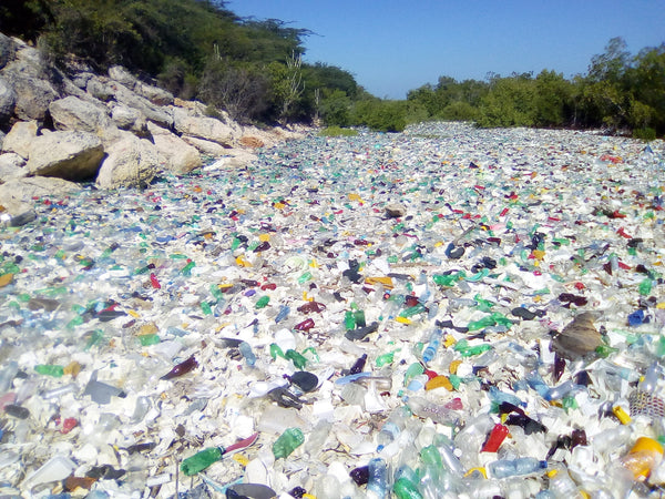Massive Amount of Plastic Pollution