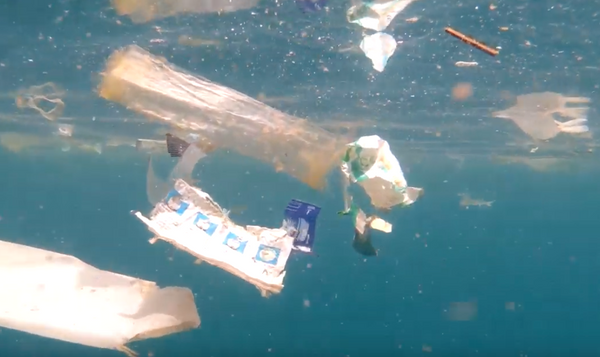 4ocean GoPro Trash in the Ocean 