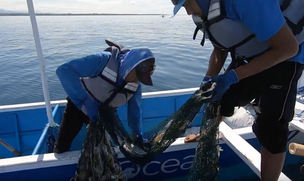 4ocean Bali Collecting Ocean Plastic 