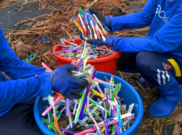 4ocean Bracelets - Toothbrushes Found on Beaches