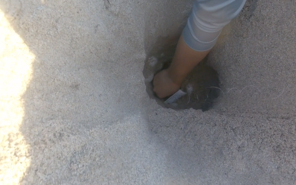 FAU Marine Research Lab Setting Science Telemetry Device in Leatherback Nest