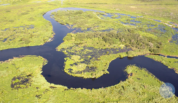 Kissimmee River Historical Flow and Floodplain - 4ocean Everglades Bracelet