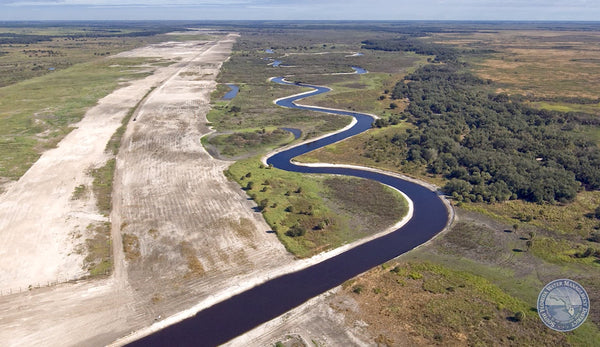 Kissimmee Restoration Project - 4ocean Everglades Bracelet