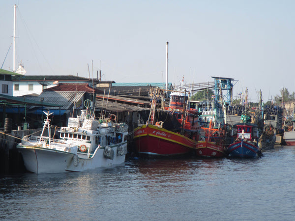 4ocean Seahorse Bracelet - Typical Bottom Trawlers at Port in Thailand