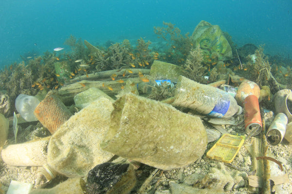 4ocean Seahorse Bracelet - Massive Trash on Sea Floor