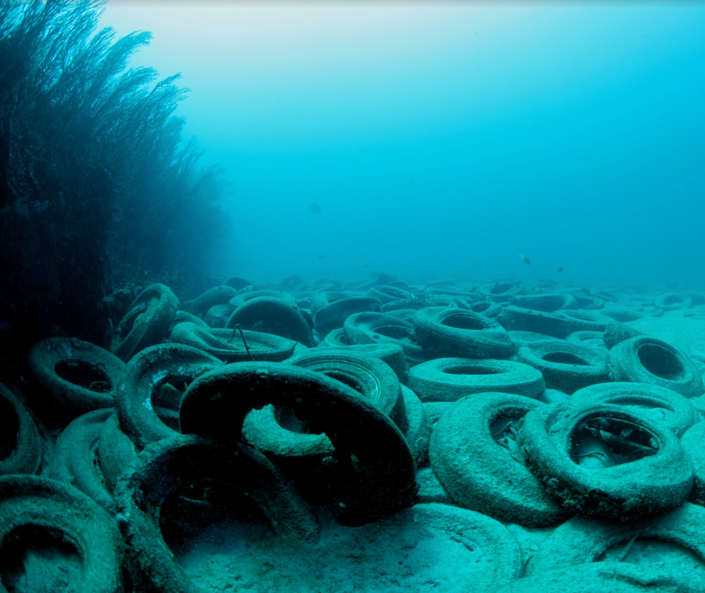 Tires on the ocean floor