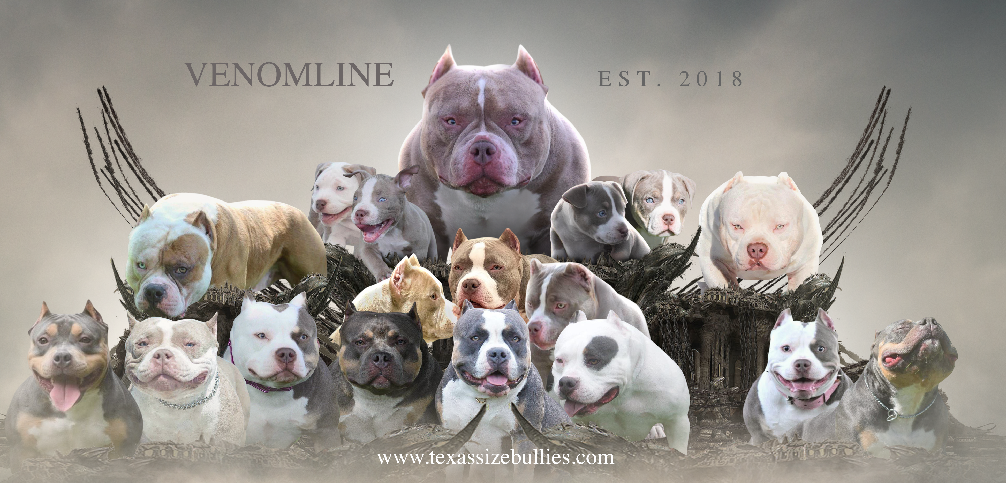 American Bully Colors Chart