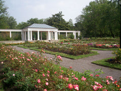 The Rose Garden in Buffalo, NY; where Oouey and Olga Gooey Live... 