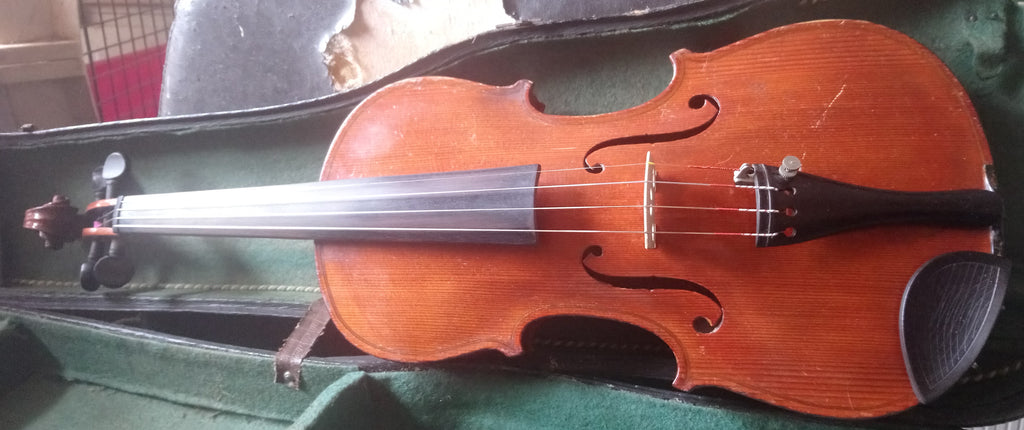 Well flamed antique violin 4/4 Elida Violins