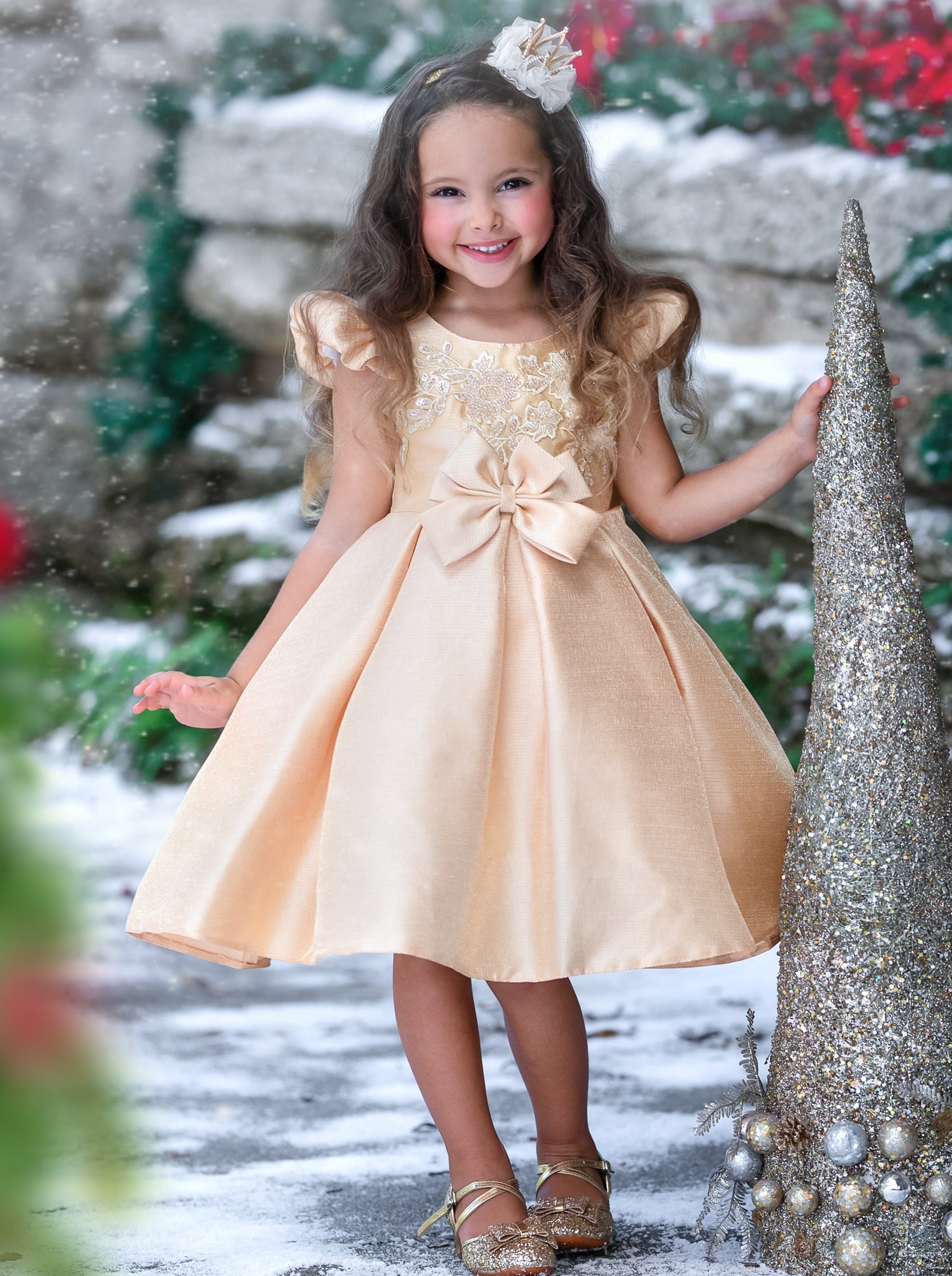 Image of Precious Darling Embroidered Princess Dress