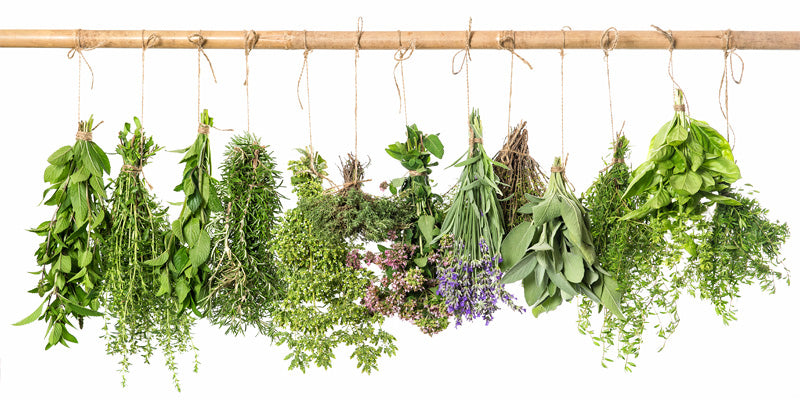 herbs-winter wellness