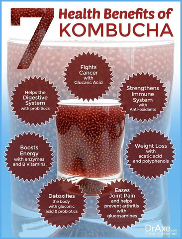 kombucha