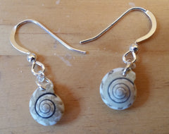 shell and silver earrings