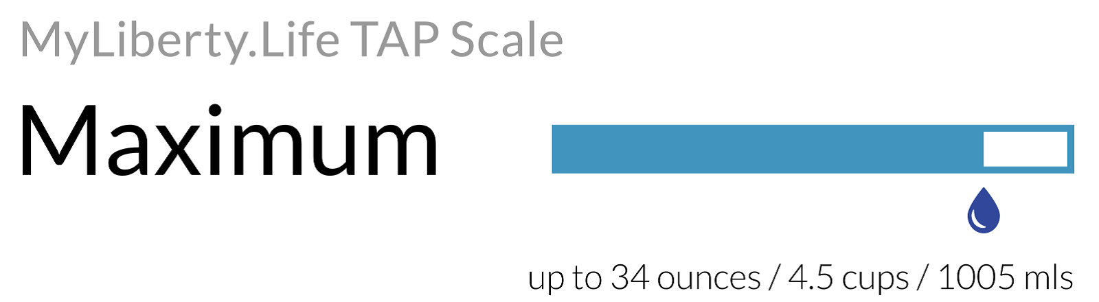 MyLiberty.Life Total Absorbency Protection - TAP Scale - Heavy