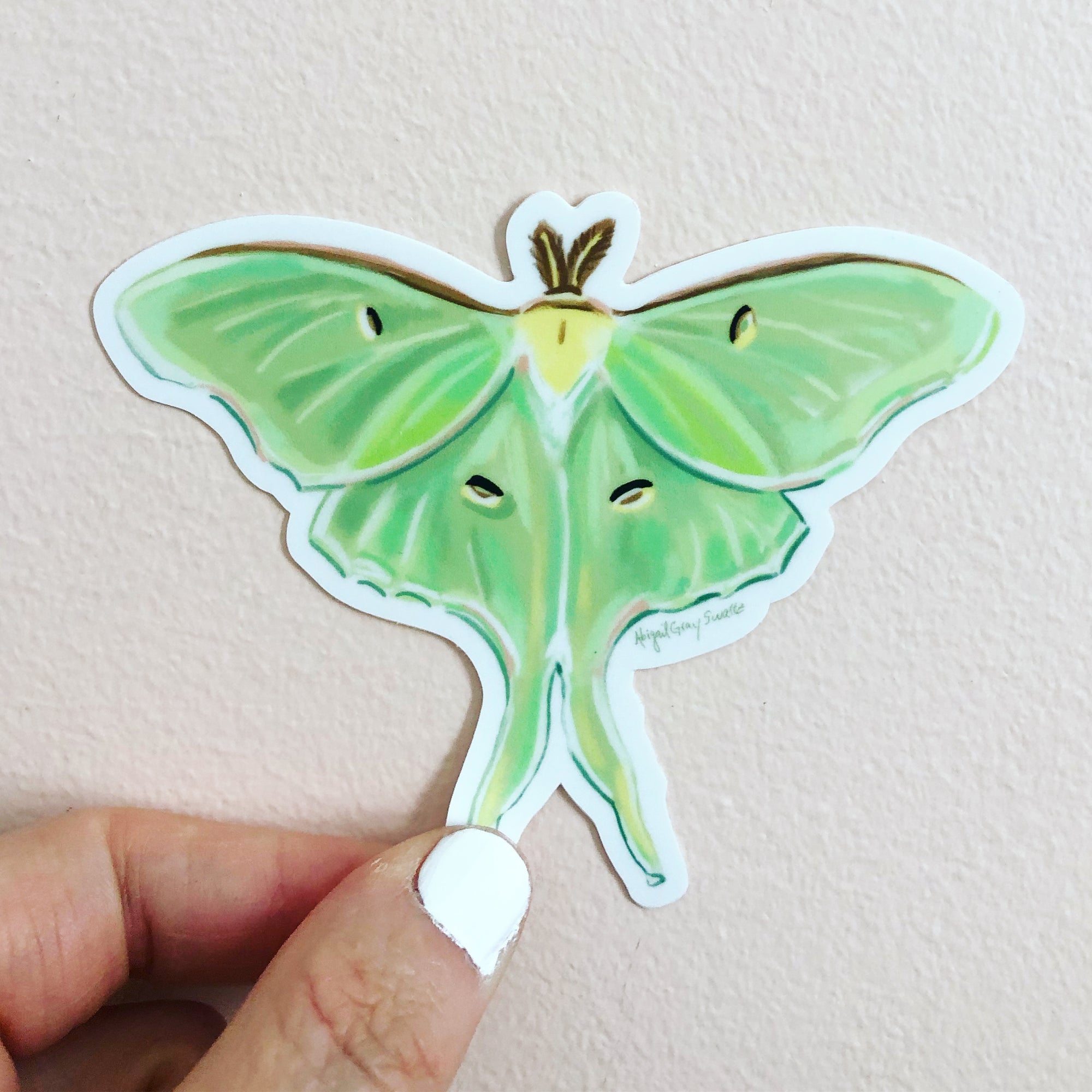 https://cdn.shopify.com/s/files/1/0997/2112/products/Luna.Moth.Sticker.Green.woodland.sticker.GrayDayStudio_2000x.jpg?v=1613503566