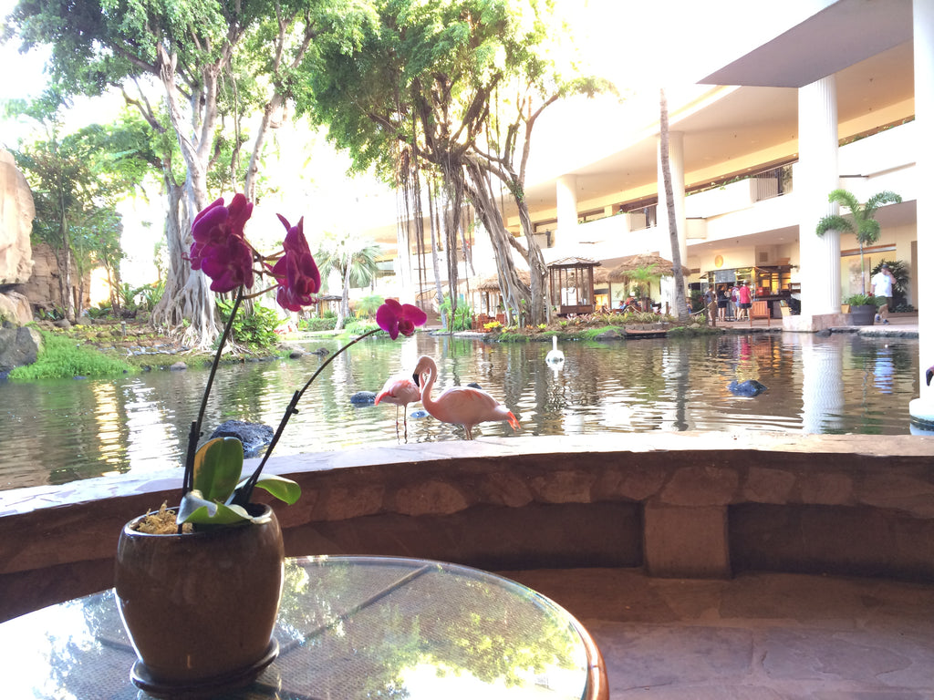 Maui - Hotel Lobby