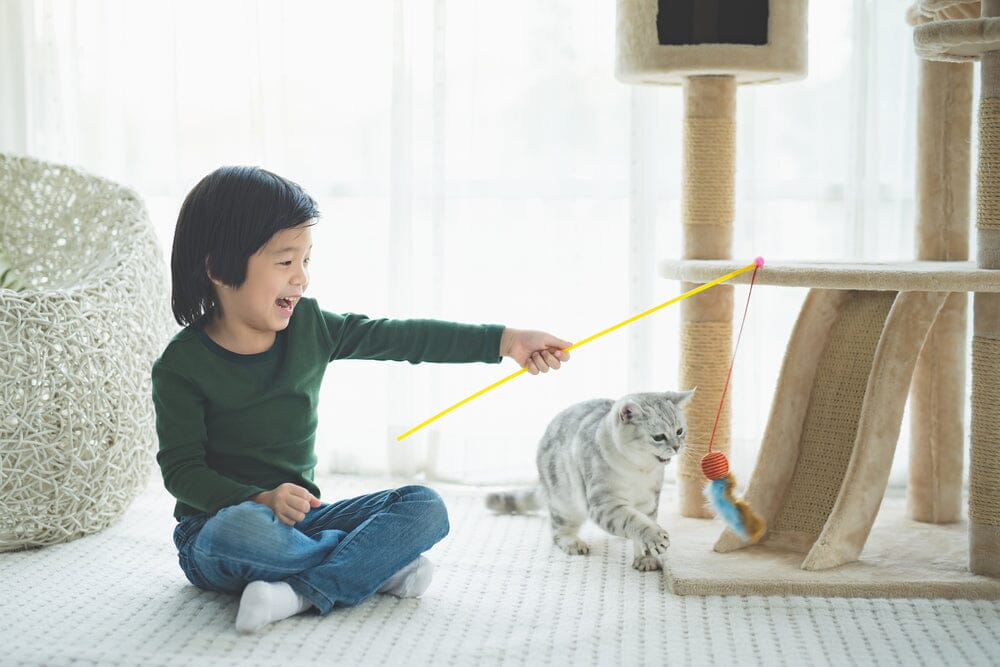 Keep your feline fit and happy with these 8 great toys