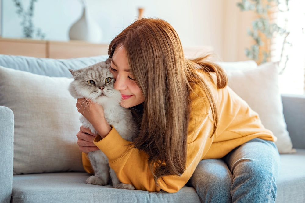 Why Do Cats Lick Themselves After You Pet Them