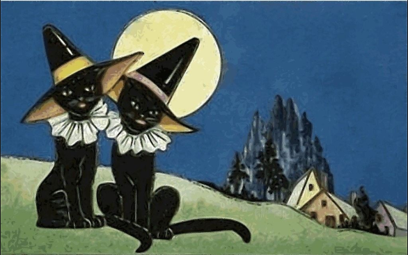 Witch Cats