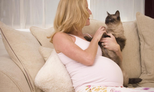 pregnant woman and cat