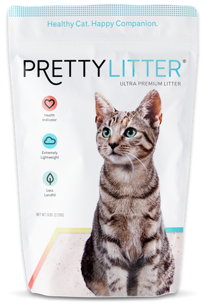 cat diarrhea litter box