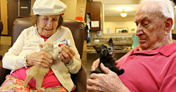 Old People with Kittens