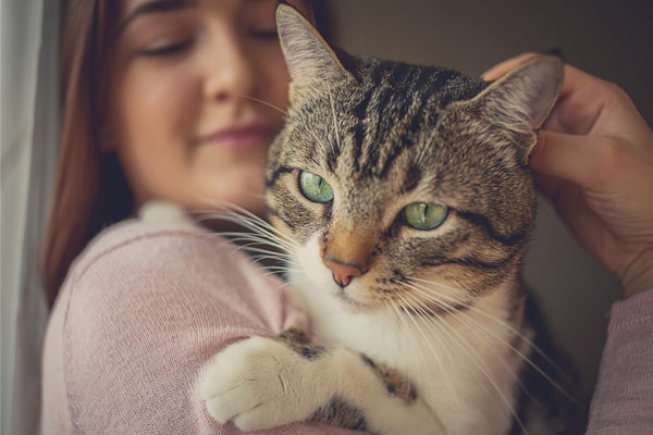 Woman Holding Green Eyed Cat