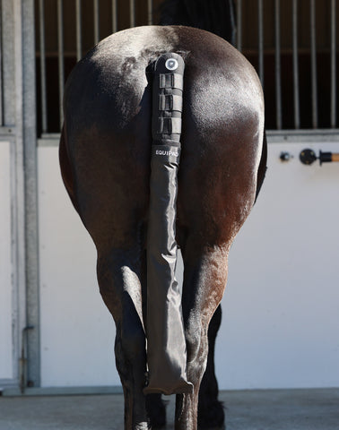 image of horses backside showing how the equipad tail boot provides protection for travelling